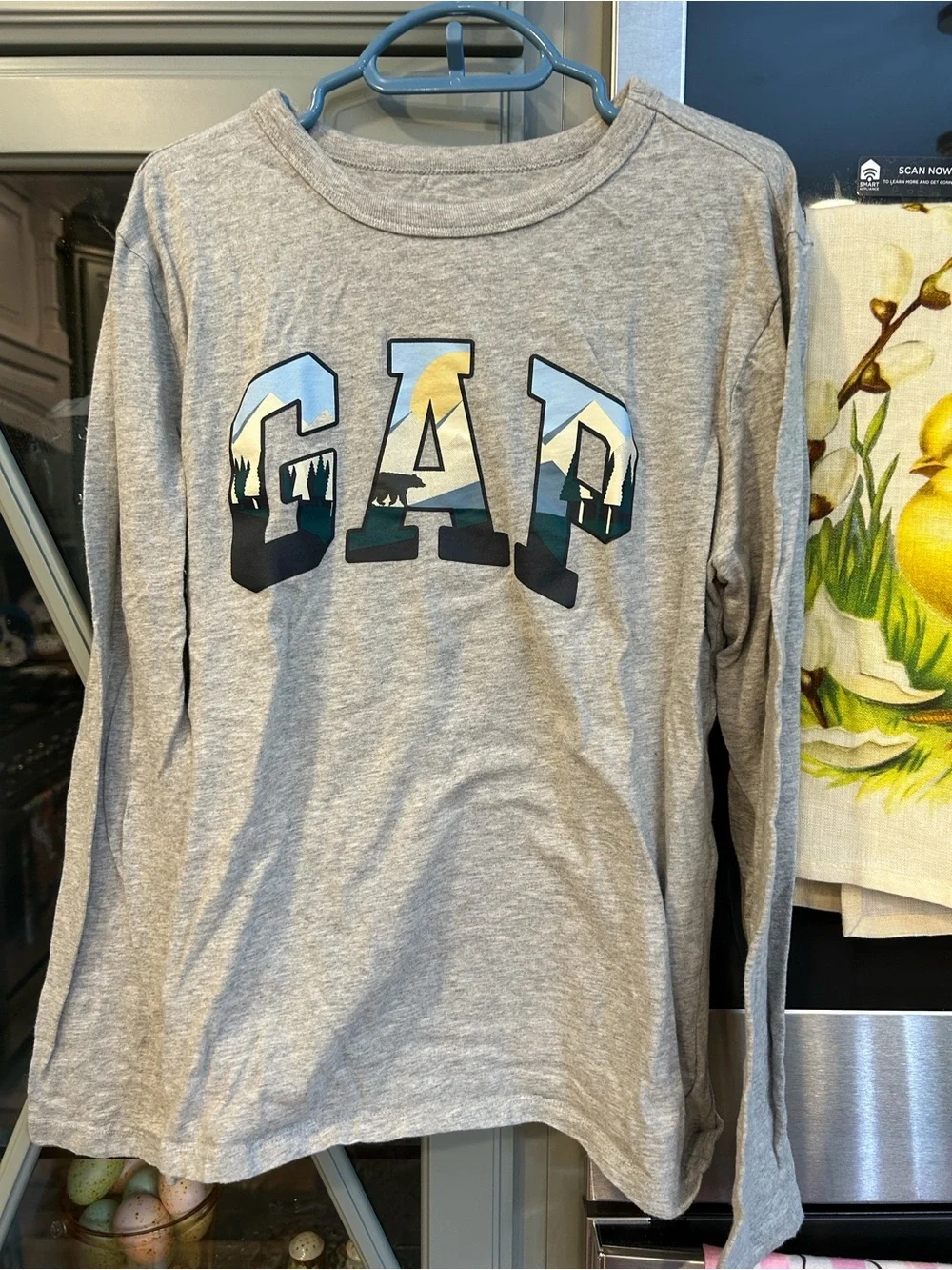 GAP Boys Graphic Long Sleeve Cotton Tees Size 10